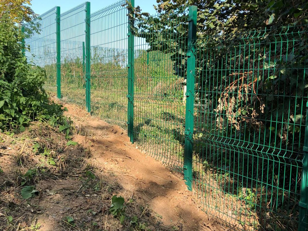 Paladin mesh fencing installed by KTS Fencing, School & industrial